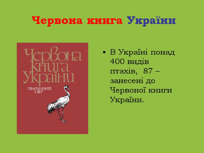 В Україні понад 400 видів птахів,  87 – занесені до Червоної книги України.